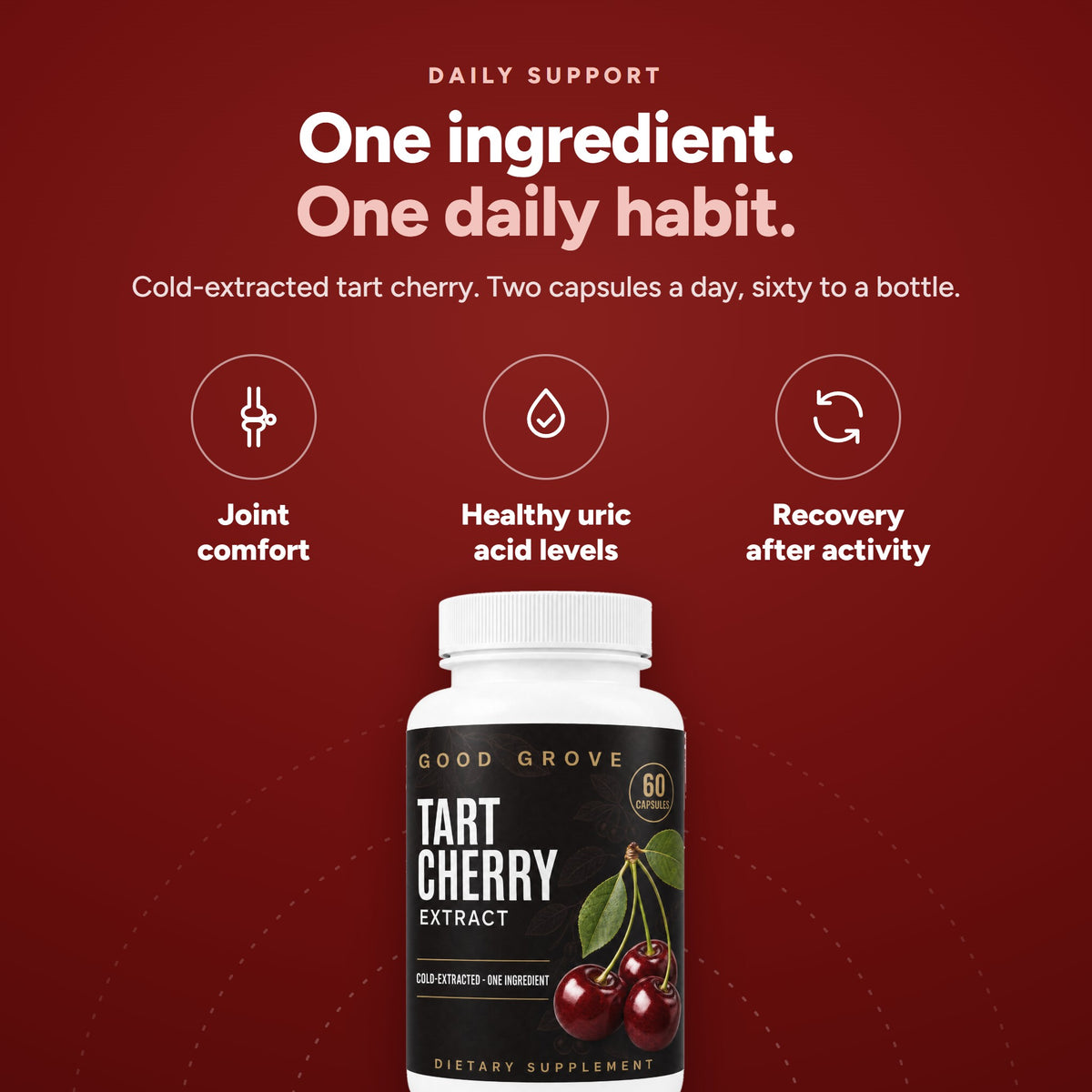 One ingredient, one daily habit: cold-extracted tart cherry, two capsules a day, sixty to a bottle